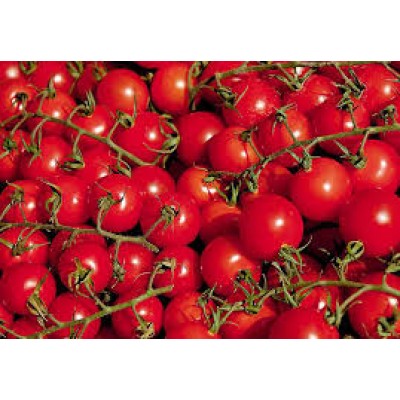 Семена томата красного черри Ламар F1 (1000 семян), Libra Seeds (Erste Zaden)